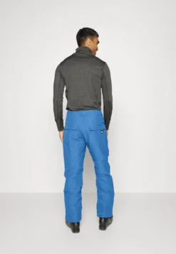 Quiksilver Estate Pt - Pantalones De Snowboard - Bright Cobalt -Fuerza PUMA 27102dacee8846198c51558deb9e72db scaled