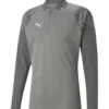 Puma Fussball - Teamsport - Teamcup Halfzip Sw - Camiseta De Manga Larga - Grau